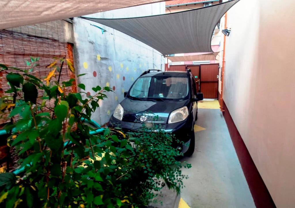 Krisztina Apartman ナジカニジャ エクステリア 写真